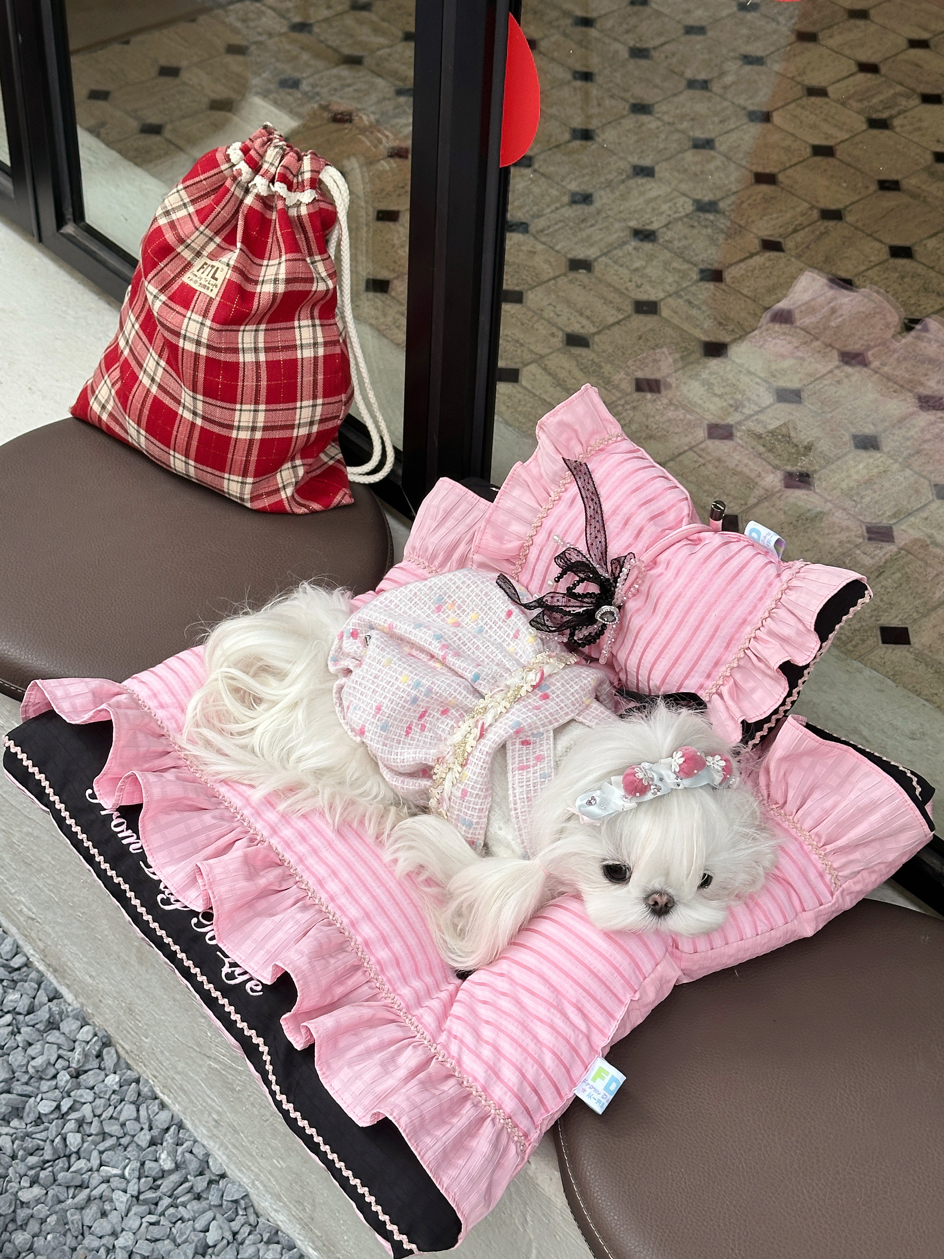 From Day To Life Pet Bed Set | Pink Princess Style