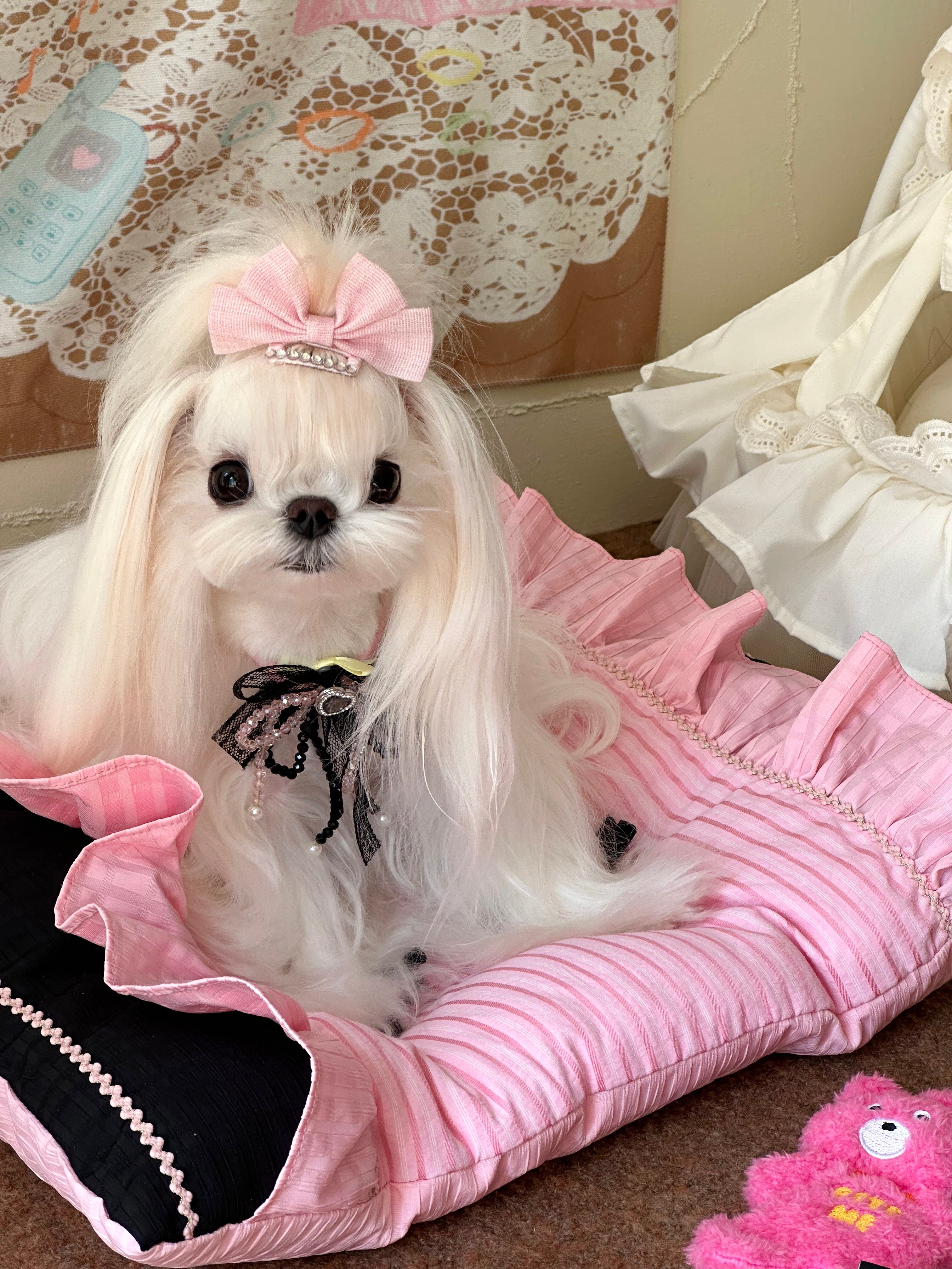 From Day To Life Pet Bed Set | Pink Princess Style