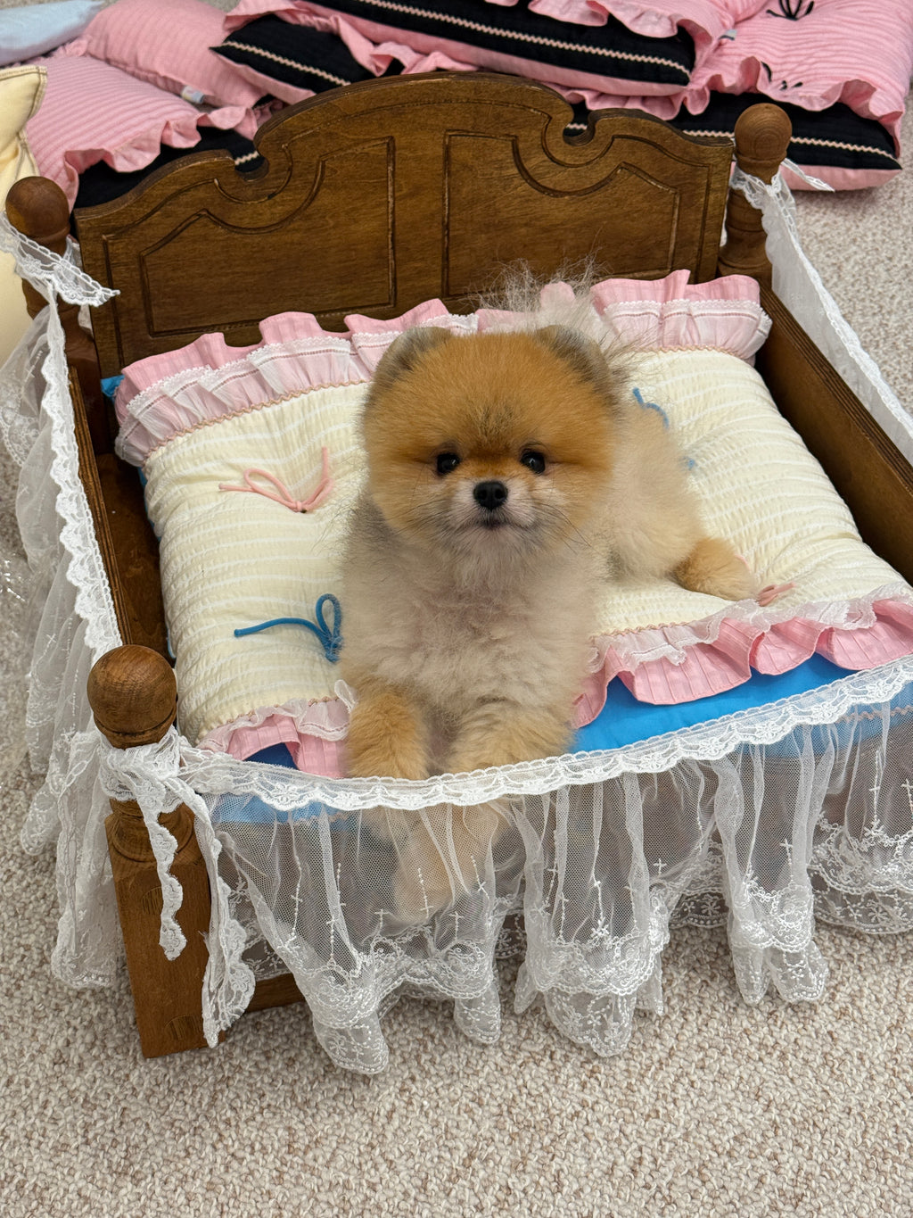 Handcrafted Mediterranean Lace Mediterranean style Pet Mat | Luxury Dog & Cat Cushion
