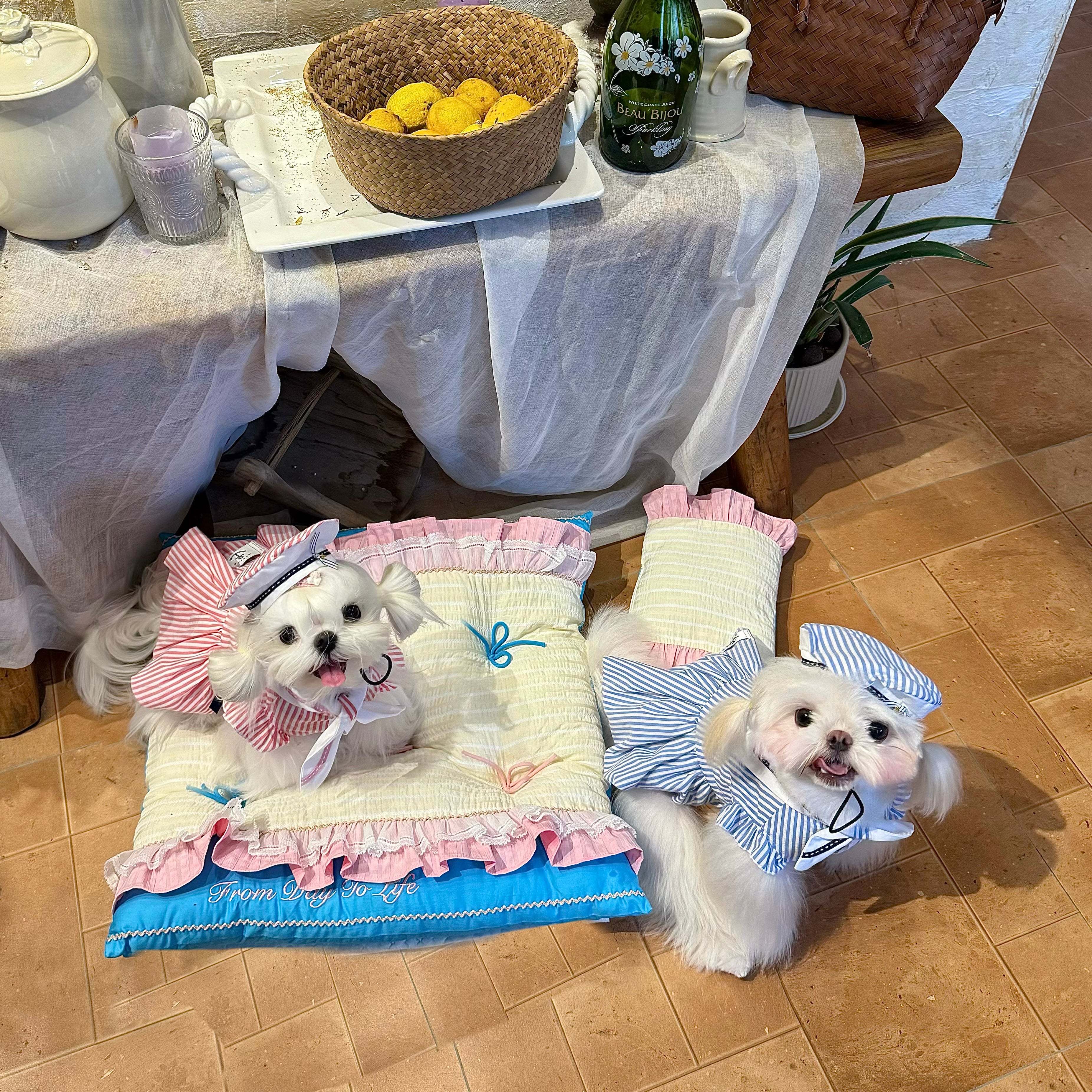 Handcrafted Mediterranean Lace Mediterranean style Pet Mat | Luxury Dog & Cat Cushion