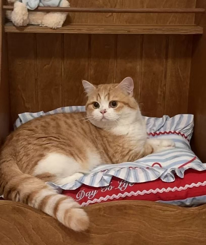 Handcrafted Sailor-Style Pet Mat | Blue Stripe & Red Ruffle Dog & Cat Cushion
