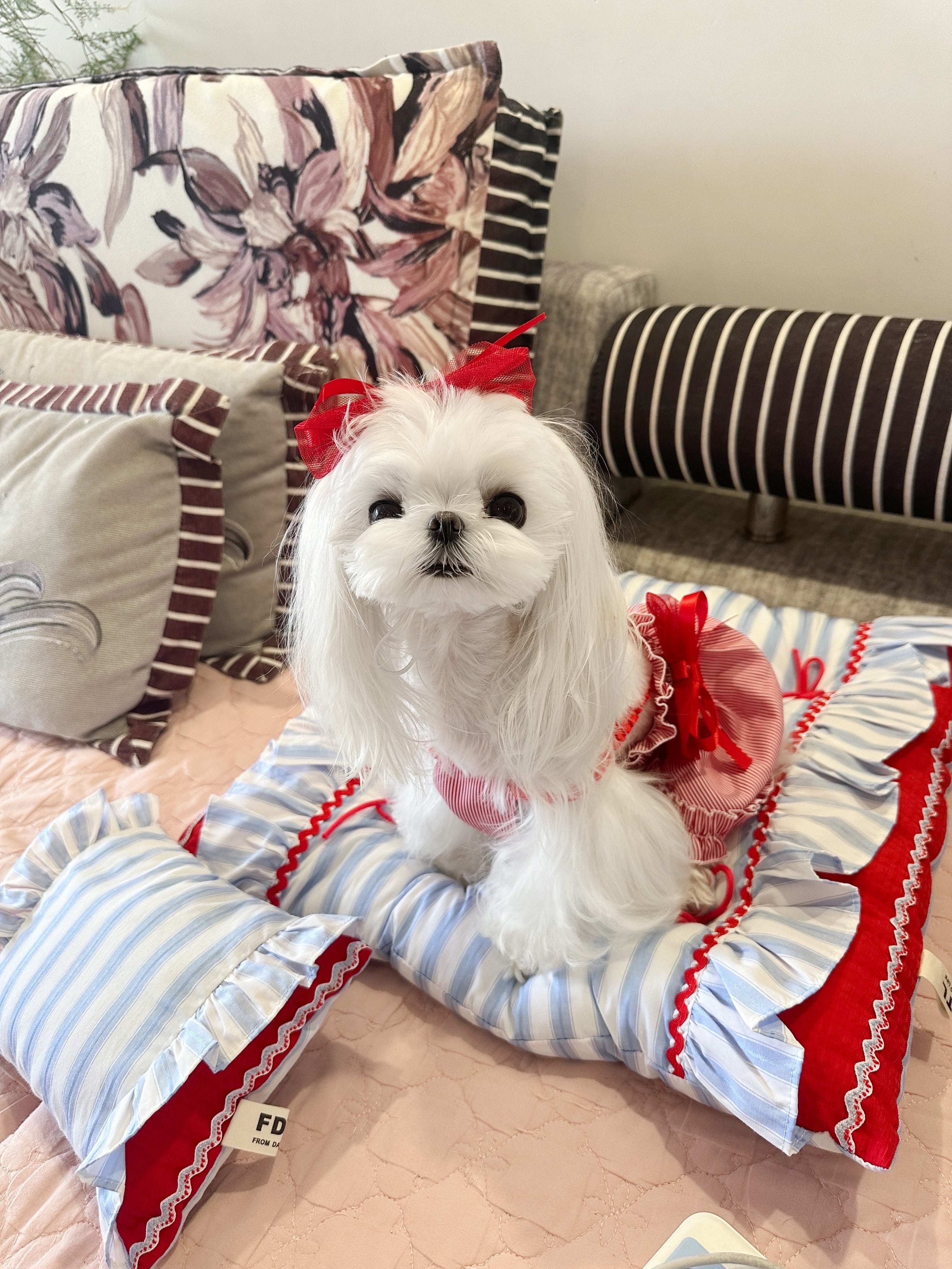 Handcrafted Sailor-Style Pet Mat | Blue Stripe & Red Ruffle Dog & Cat Cushion