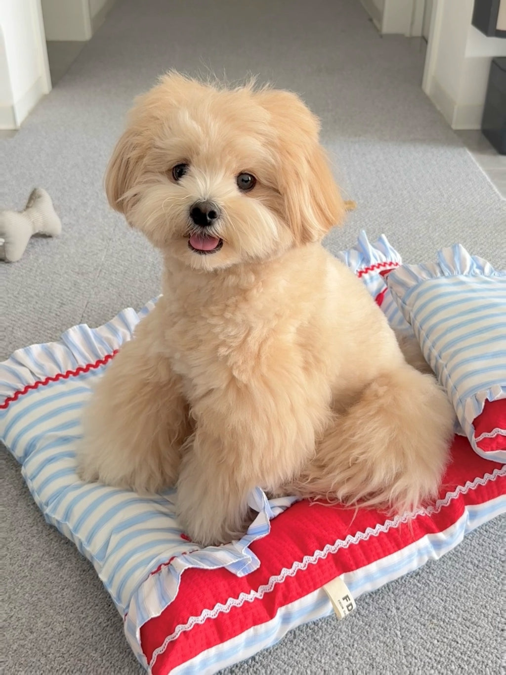 Handcrafted Sailor-Style Pet Mat | Blue Stripe & Red Ruffle Dog & Cat Cushion