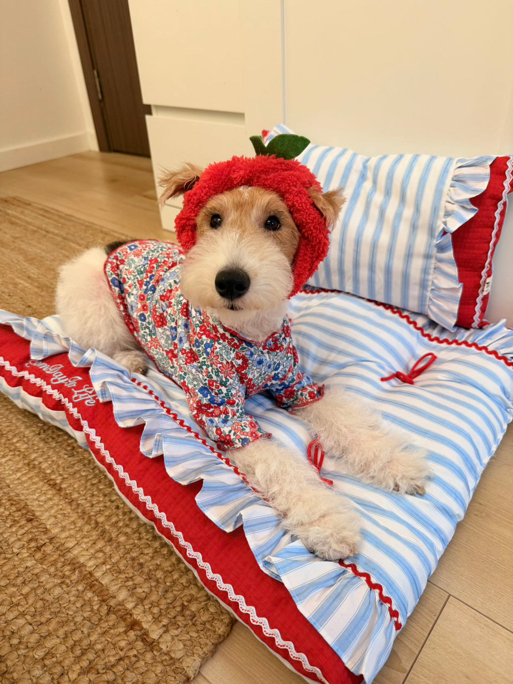 Handcrafted Sailor-Style Pet Mat | Blue Stripe & Red Ruffle Dog & Cat Cushion