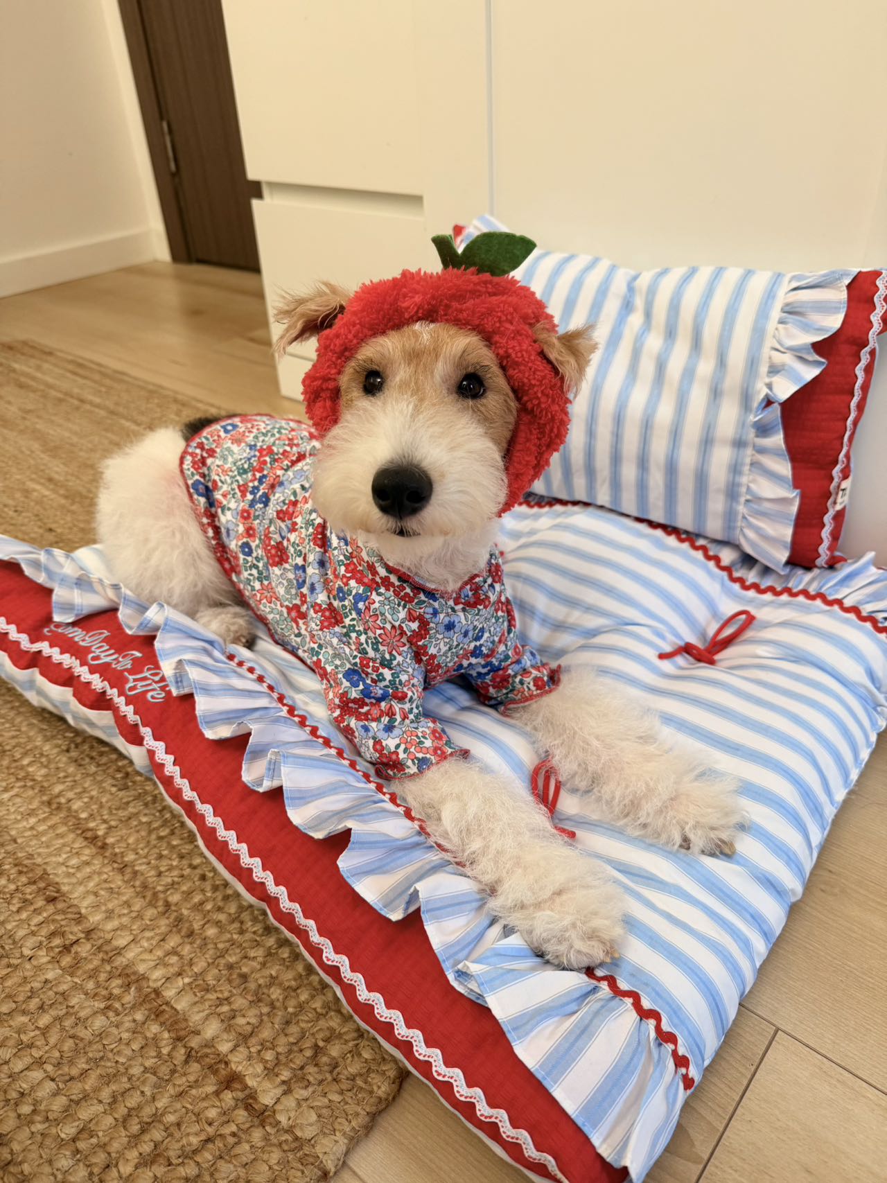 Handcrafted Sailor-Style Pet Mat | Blue Stripe & Red Ruffle Dog & Cat Cushion