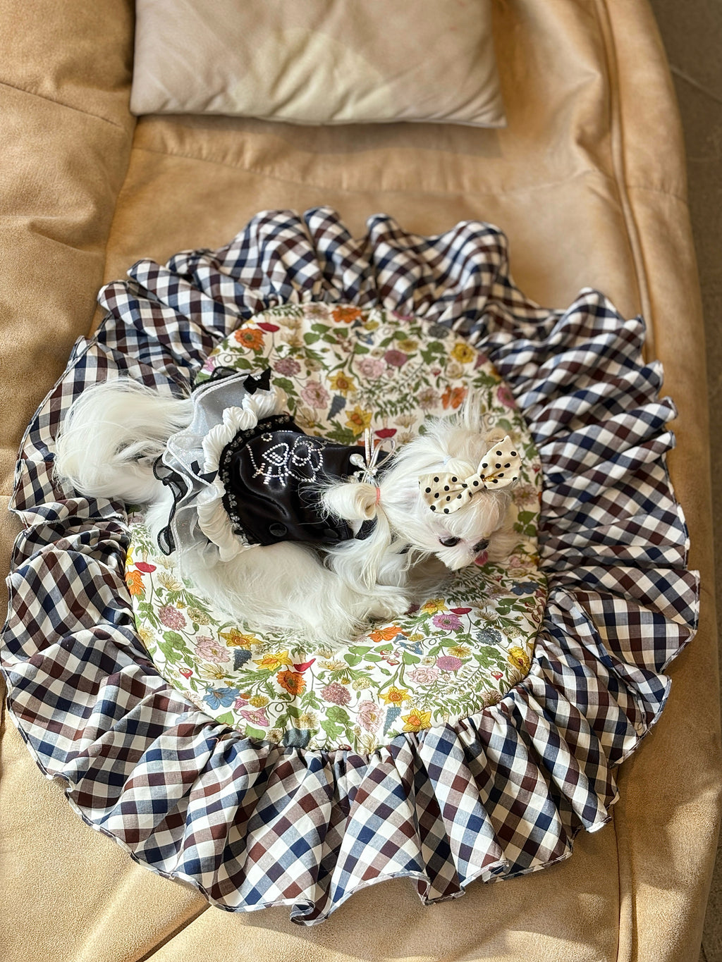 Handcrafted Crystal Bow Silk Satin Pet Dress | Coquette Maid Dog & Cat Outfit for Spring Summer Black