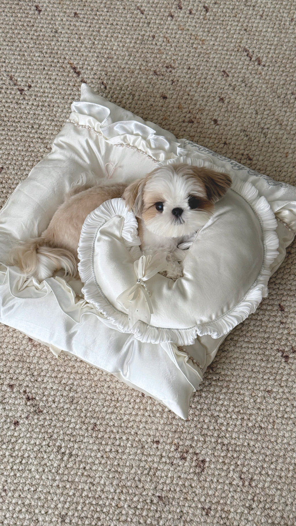 FDTL Handcrafted Luxury Silk Satin Pet Bed | All-Season Dog & Cat Nest with Pillow