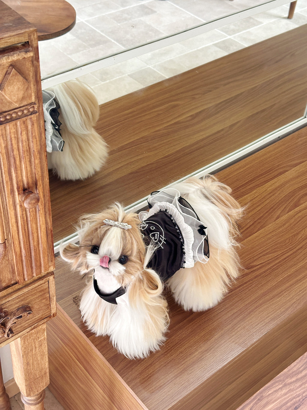 Handcrafted Crystal Bow Silk Satin Pet Dress | Coquette Maid Dog & Cat Outfit for Spring Summer Black