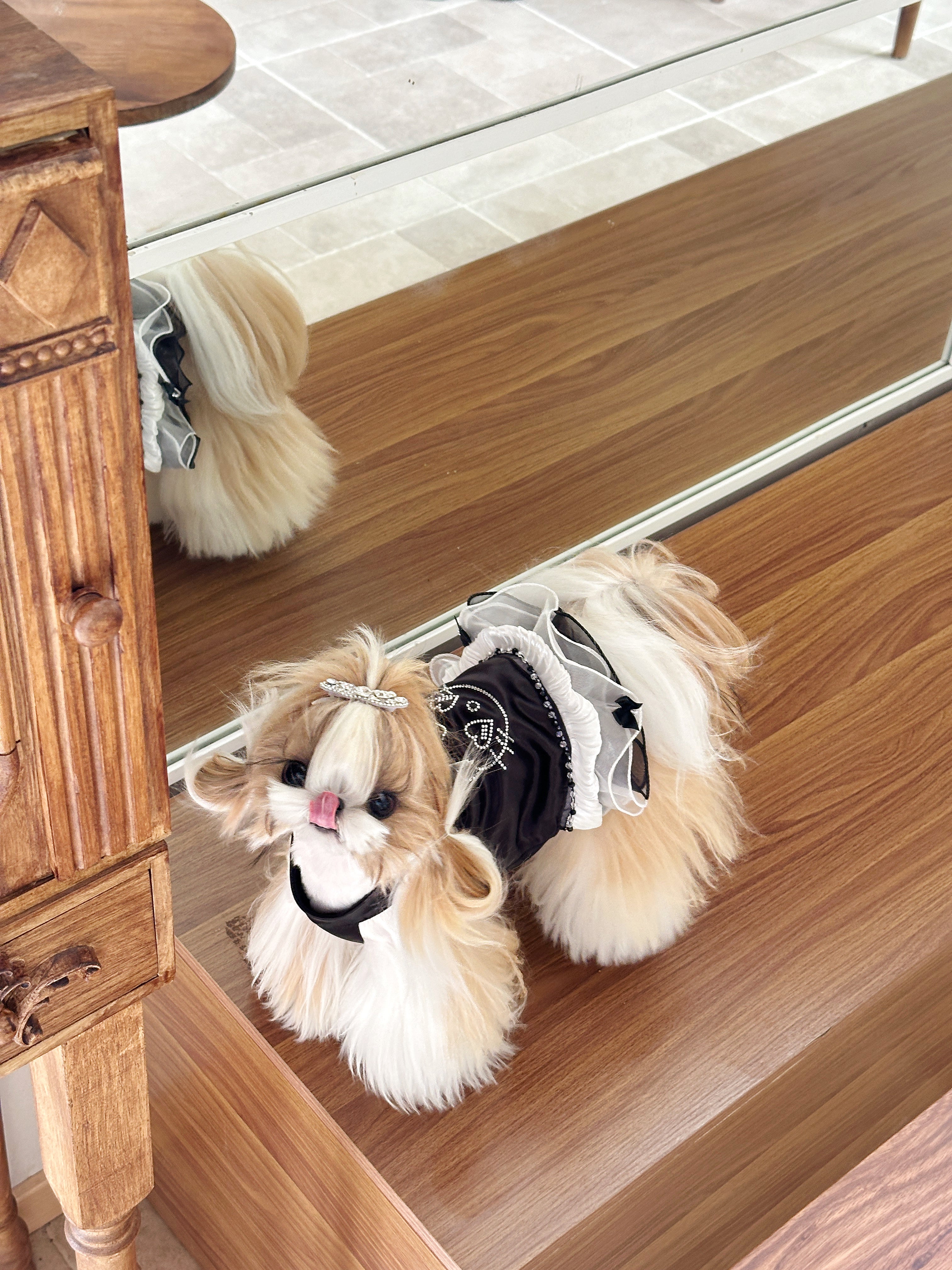 Handcrafted Crystal Bow Silk Satin Pet Dress | Coquette Maid Dog & Cat Outfit for Spring Summer Black