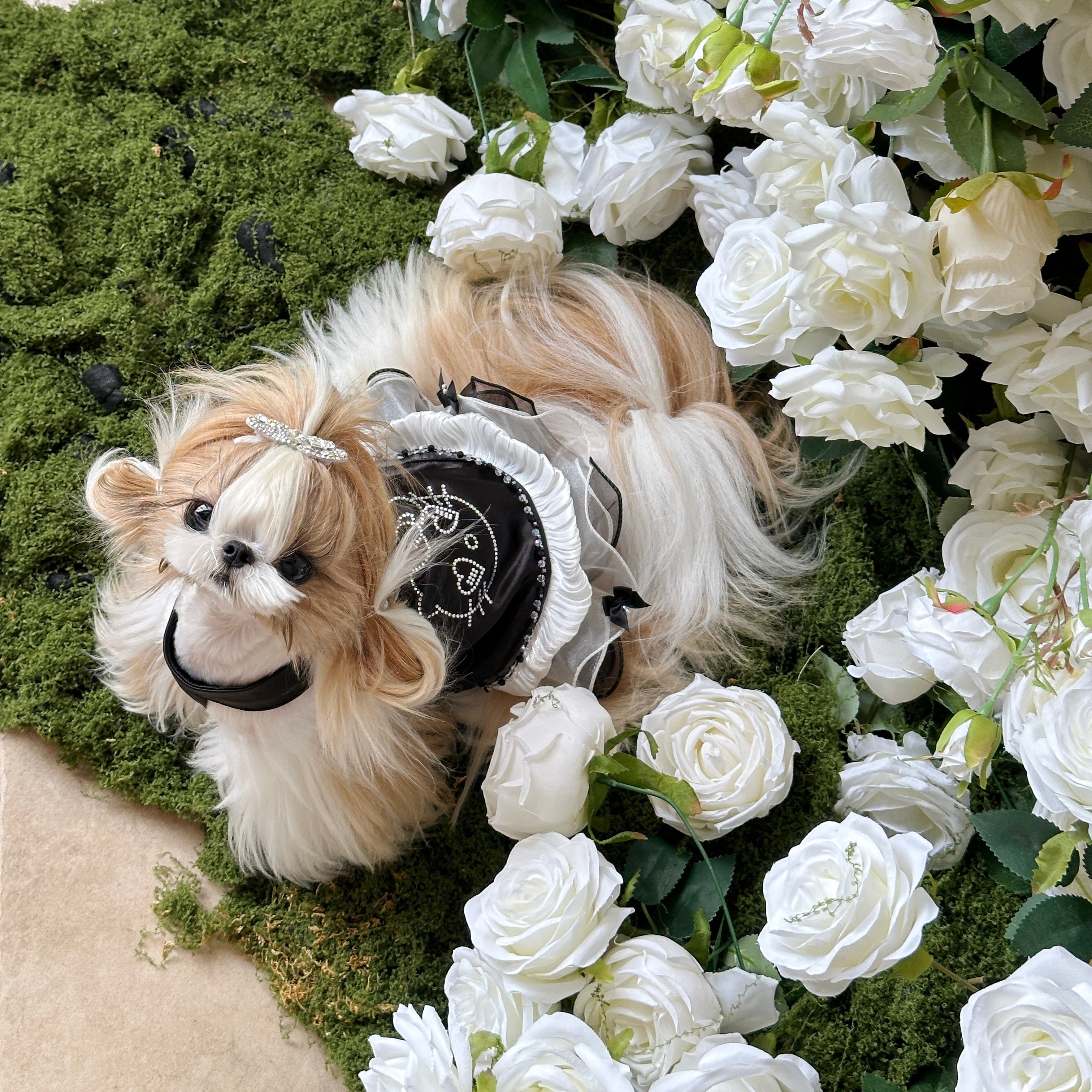 Handcrafted Crystal Bow Silk Satin Pet Dress | Coquette Maid Dog & Cat Outfit for Spring Summer Black