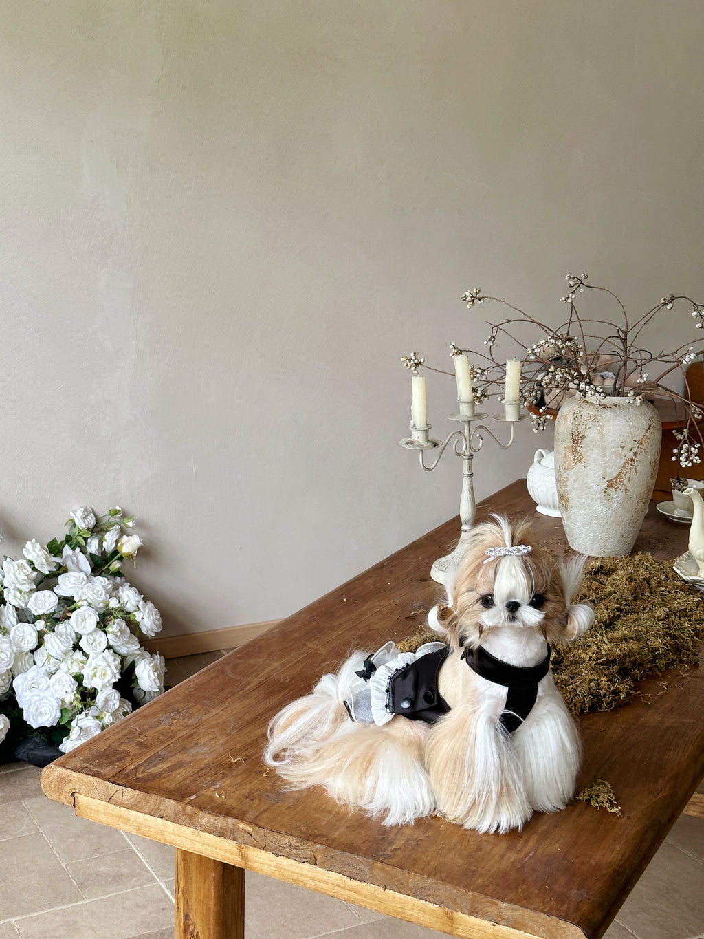 Handcrafted Crystal Bow Silk Satin Pet Dress | Coquette Maid Dog & Cat Outfit for Spring Summer Black