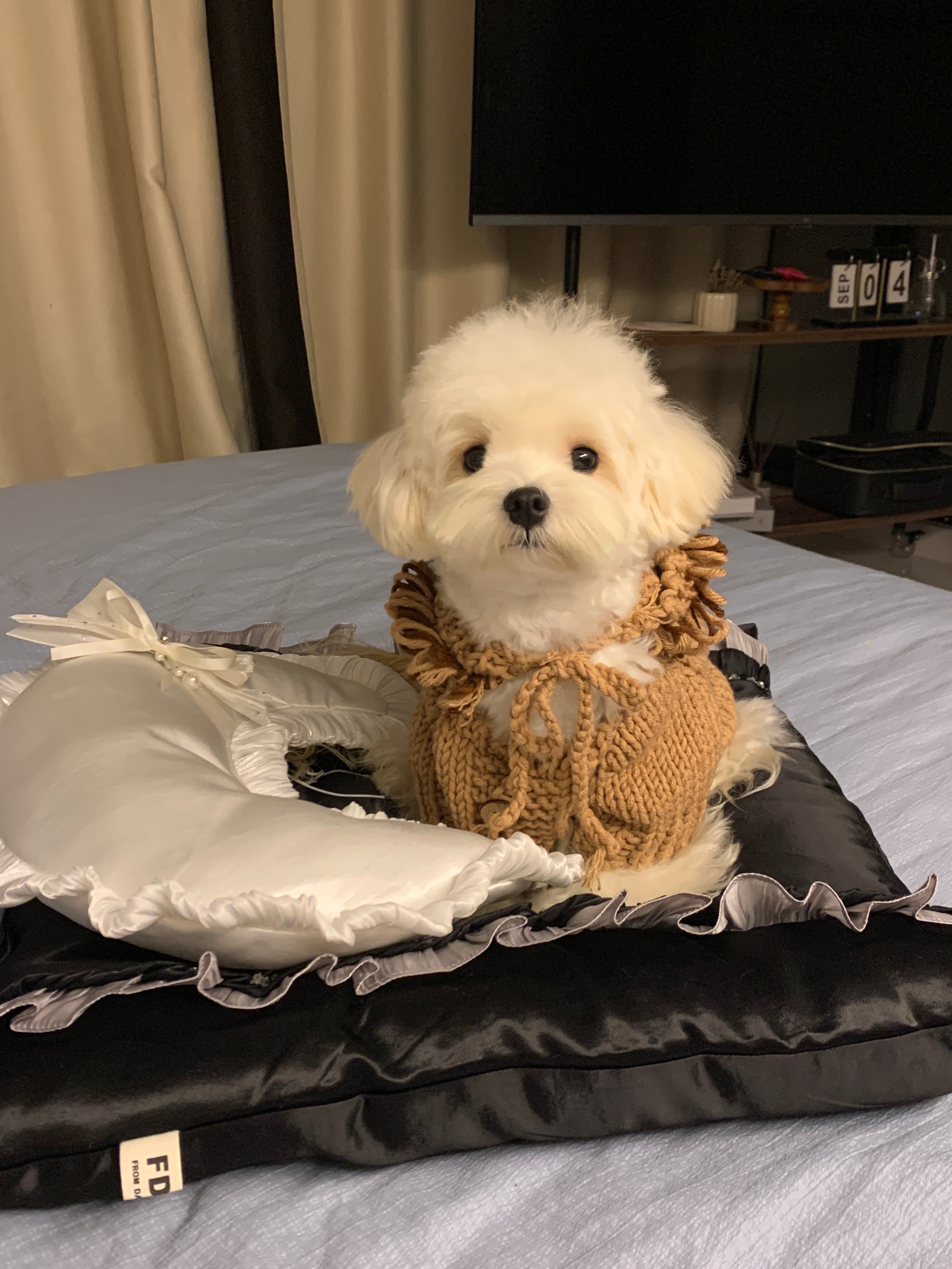 Handcrafted Black Silk Satin Pet Bed | Gothic Elegance Dog & Cat Nest with Pillow