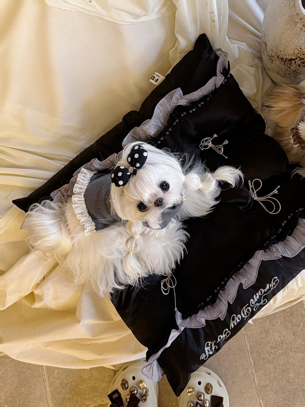 Handcrafted Black Silk Satin Pet Bed | Gothic Elegance Dog & Cat Nest with Pillow