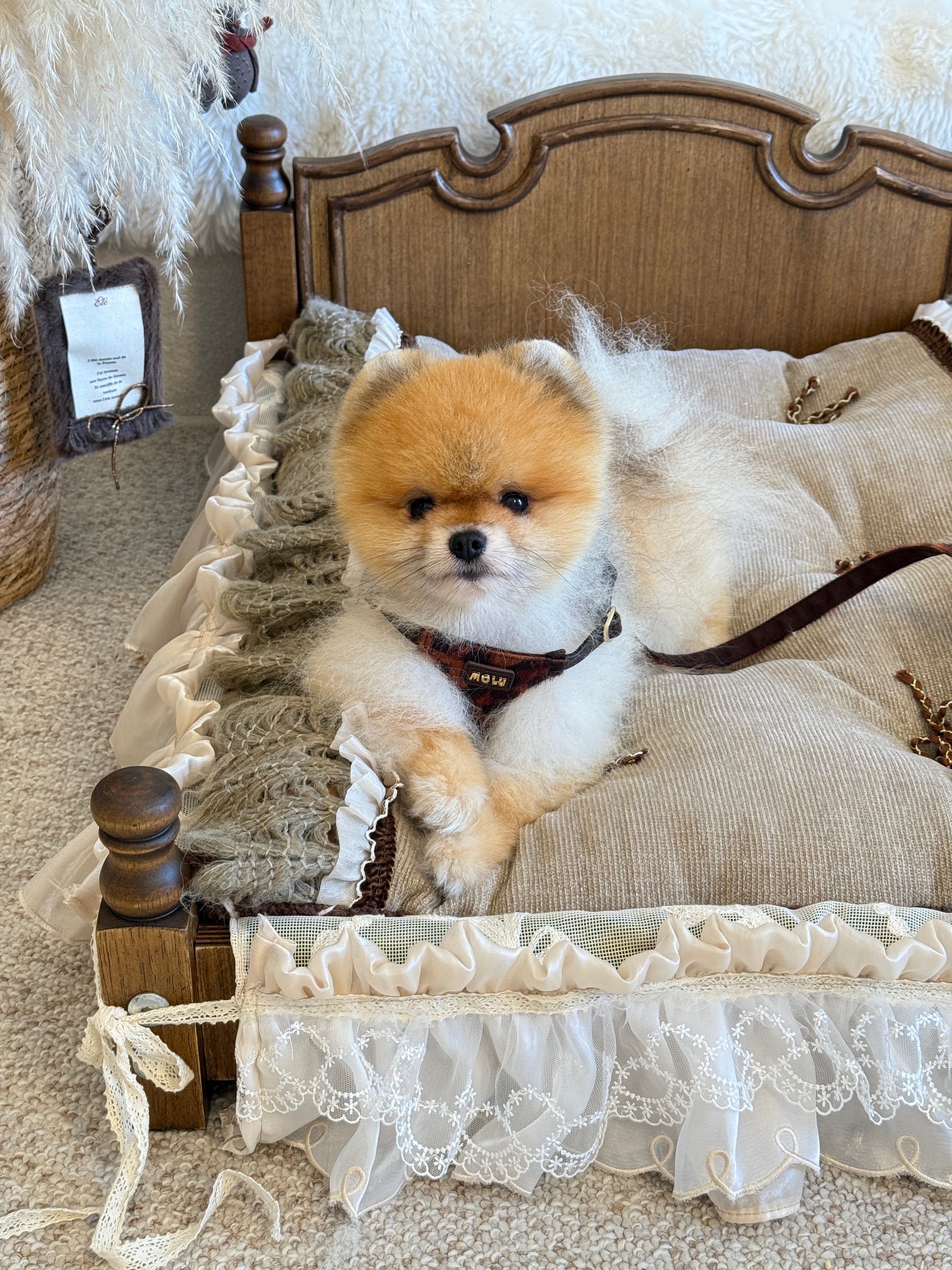 Handcrafted Reversible Linen & Velvet Pet Mat | French Manor Dog & Cat Bed with Pillow