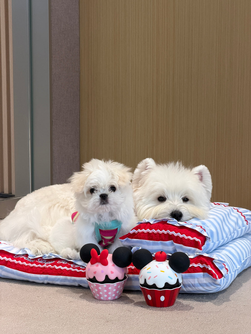 Handcrafted Sailor-Style Pet Mat | Blue Stripe & Red Ruffle Dog & Cat Cushion