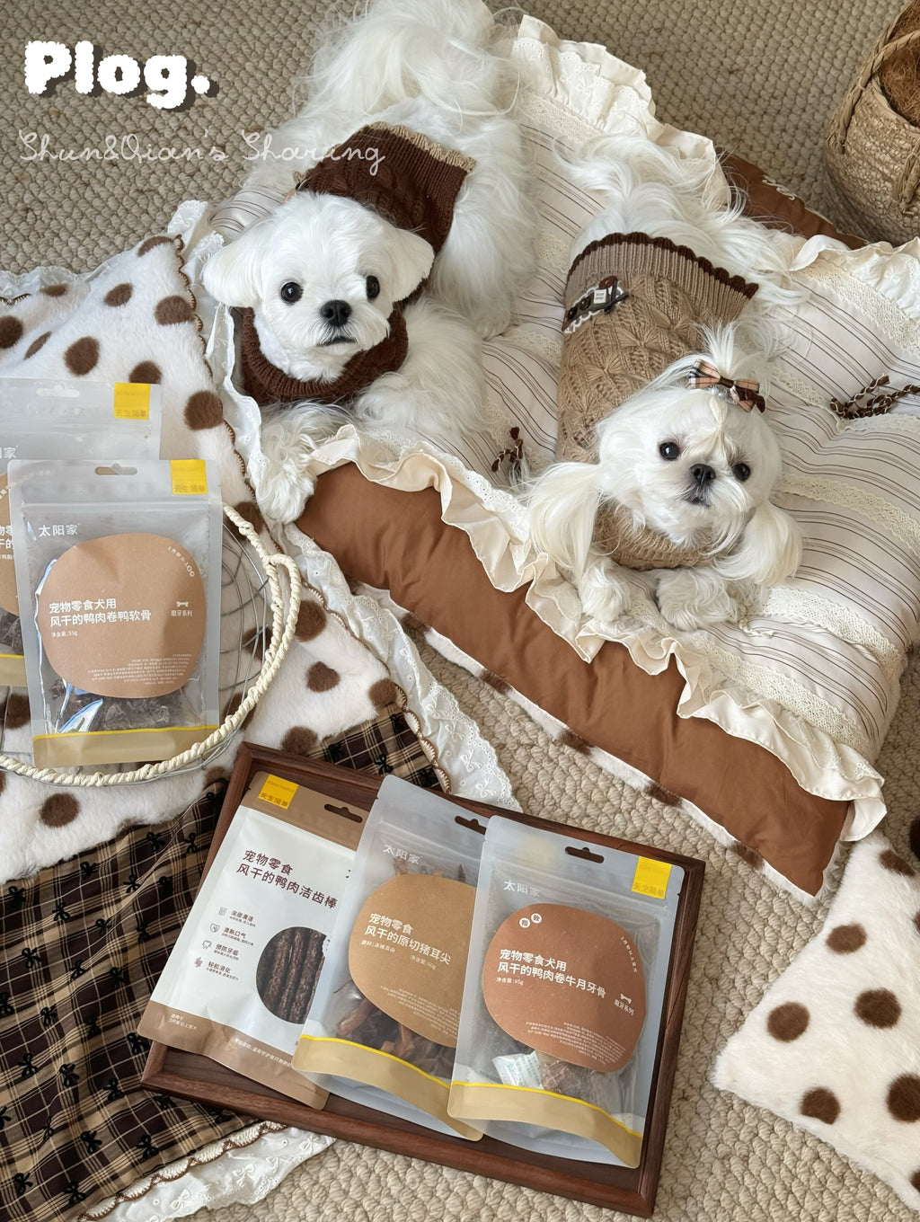 Handcrafted Reversible Stripe & Polka Dot Pet Mat | Vintage Lace Dog & Cat Bed with Pillow