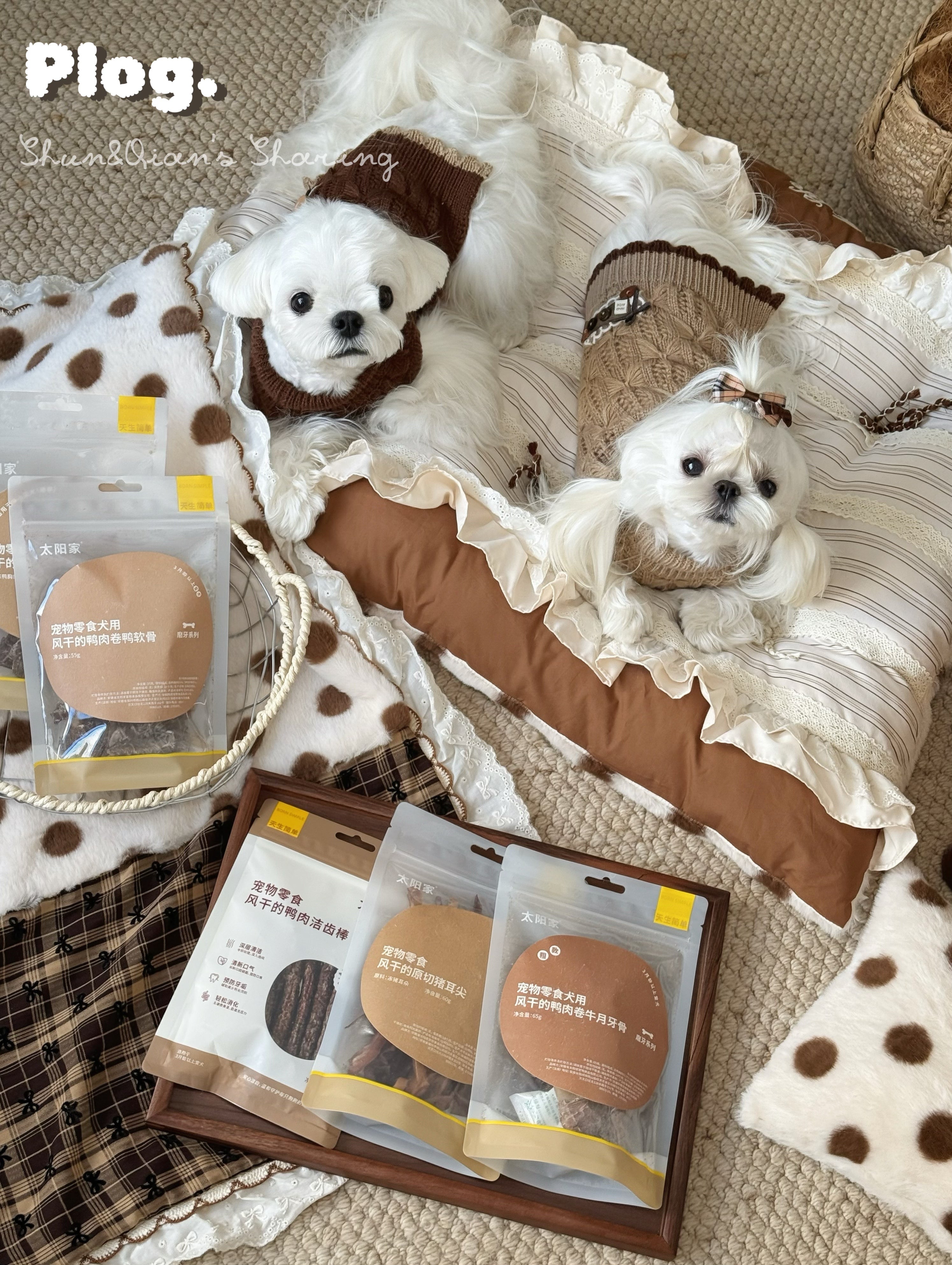 Handcrafted Reversible Stripe & Polka Dot Pet Mat | Vintage Lace Dog & Cat Bed with Pillow