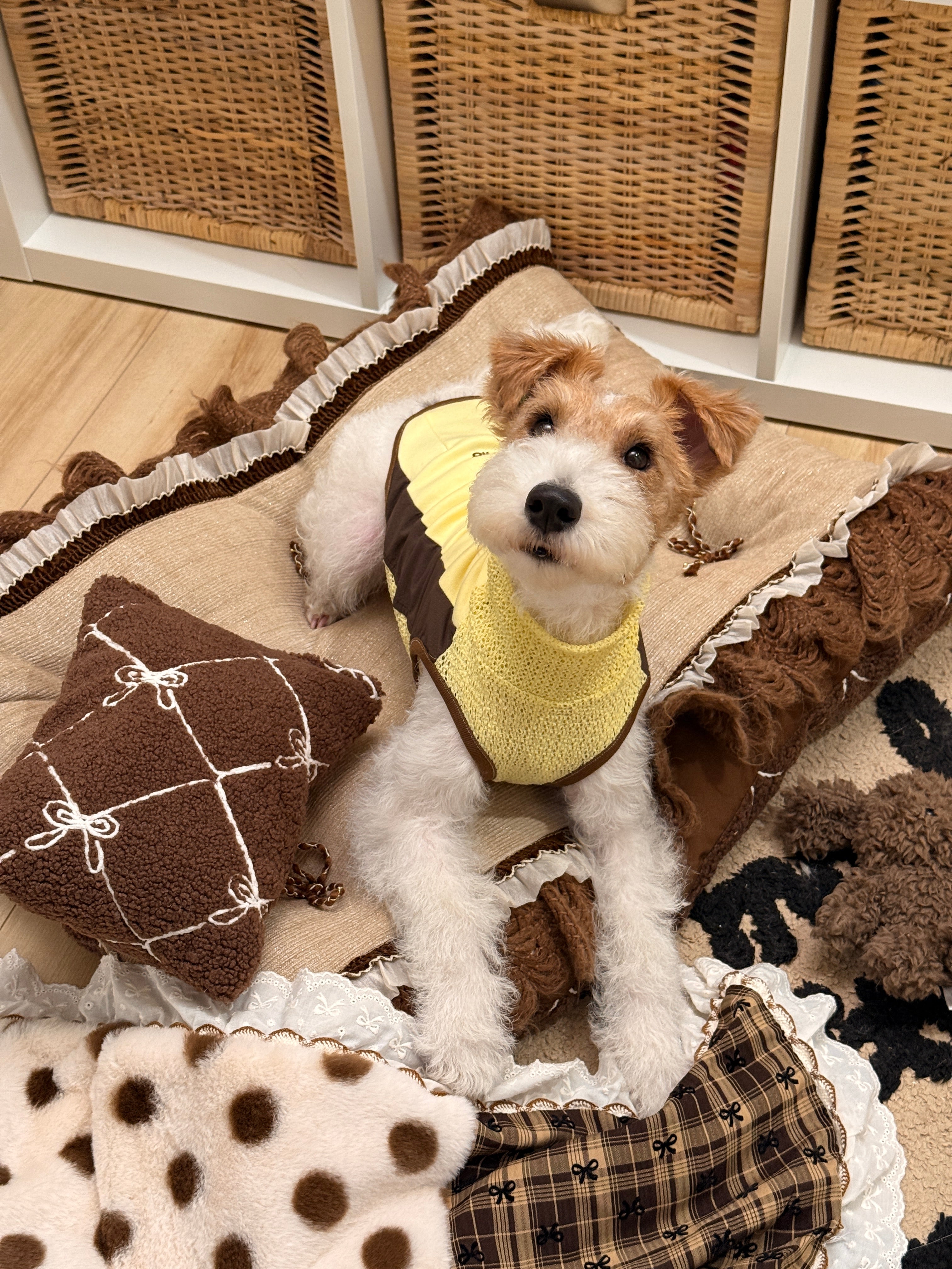 Handcrafted Reversible Linen & Velvet Pet Mat | French Manor Dog & Cat Bed with Pillow