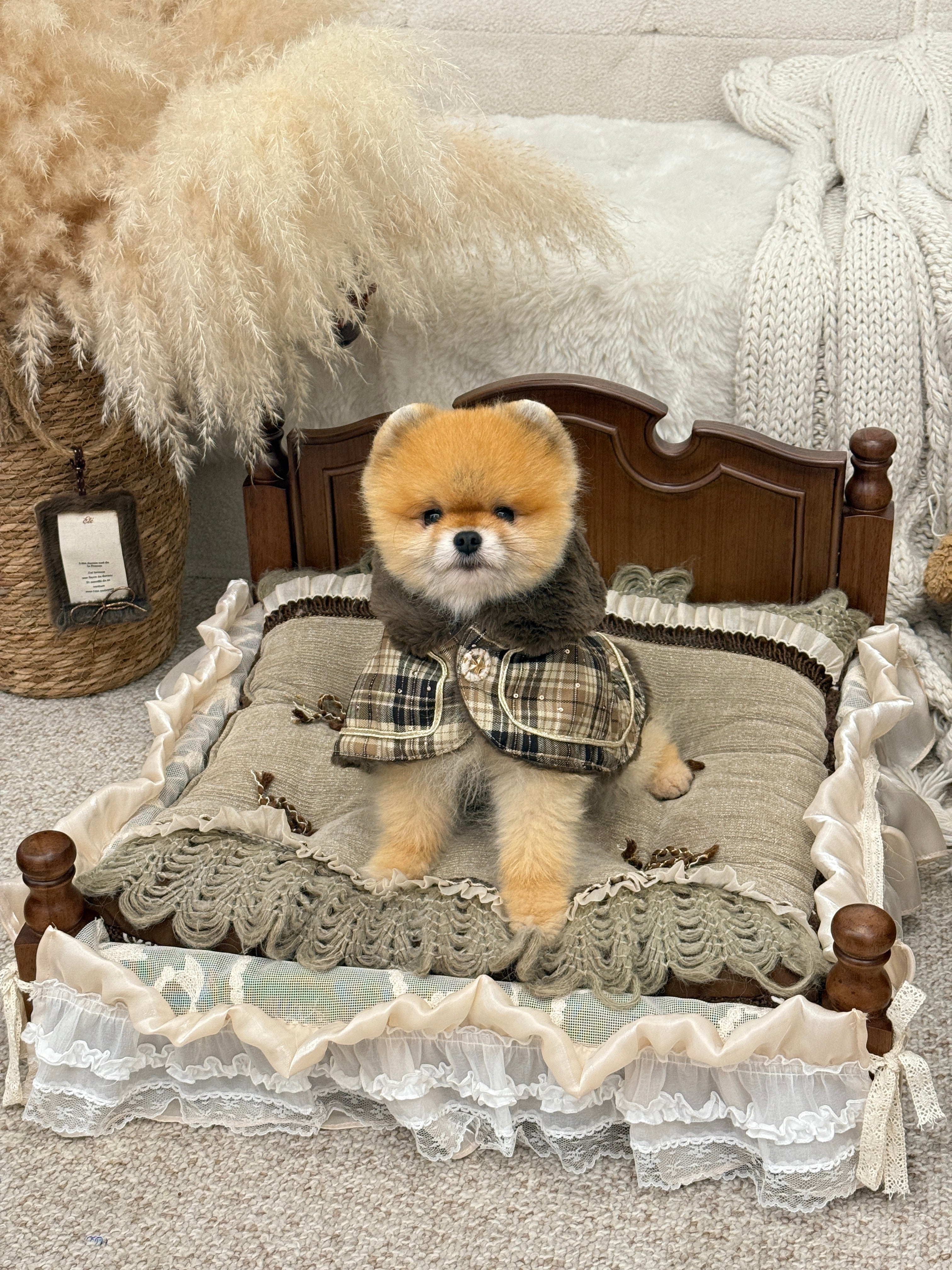 Handcrafted Reversible Linen & Velvet Pet Mat | French Manor Dog & Cat Bed with Pillow
